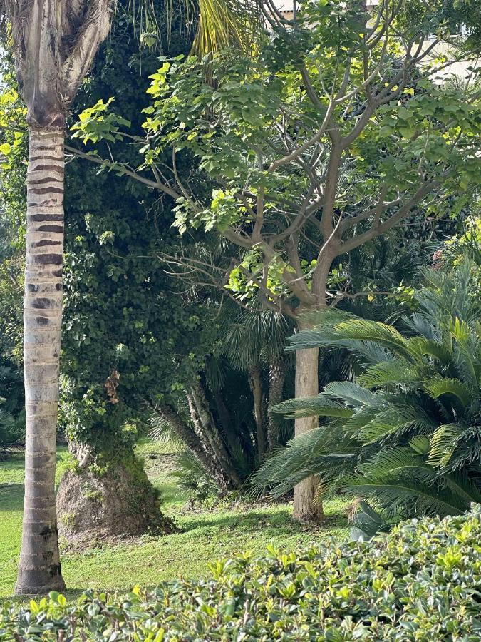 Cannes Studio Situe Dans La Residence Gallia Historique Buitenkant foto